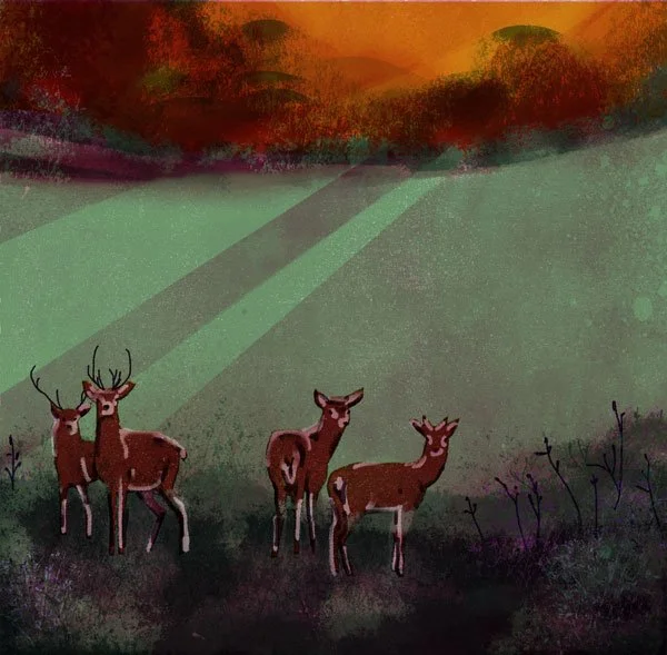 rehe.jpg