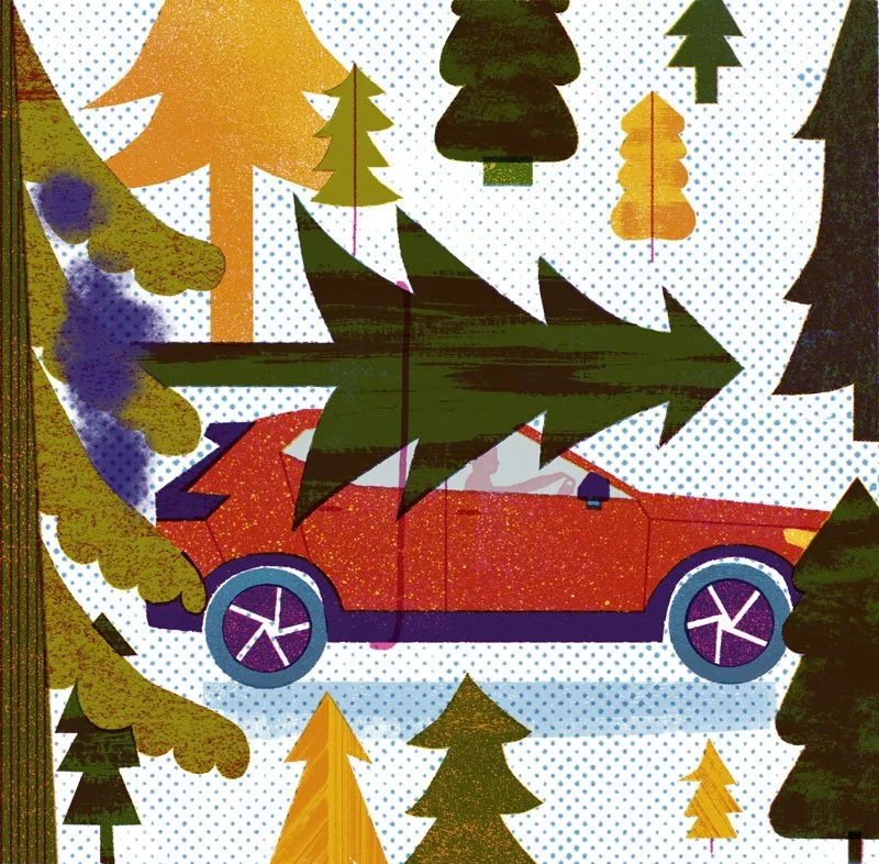 2weihnachtsbäume.jpg