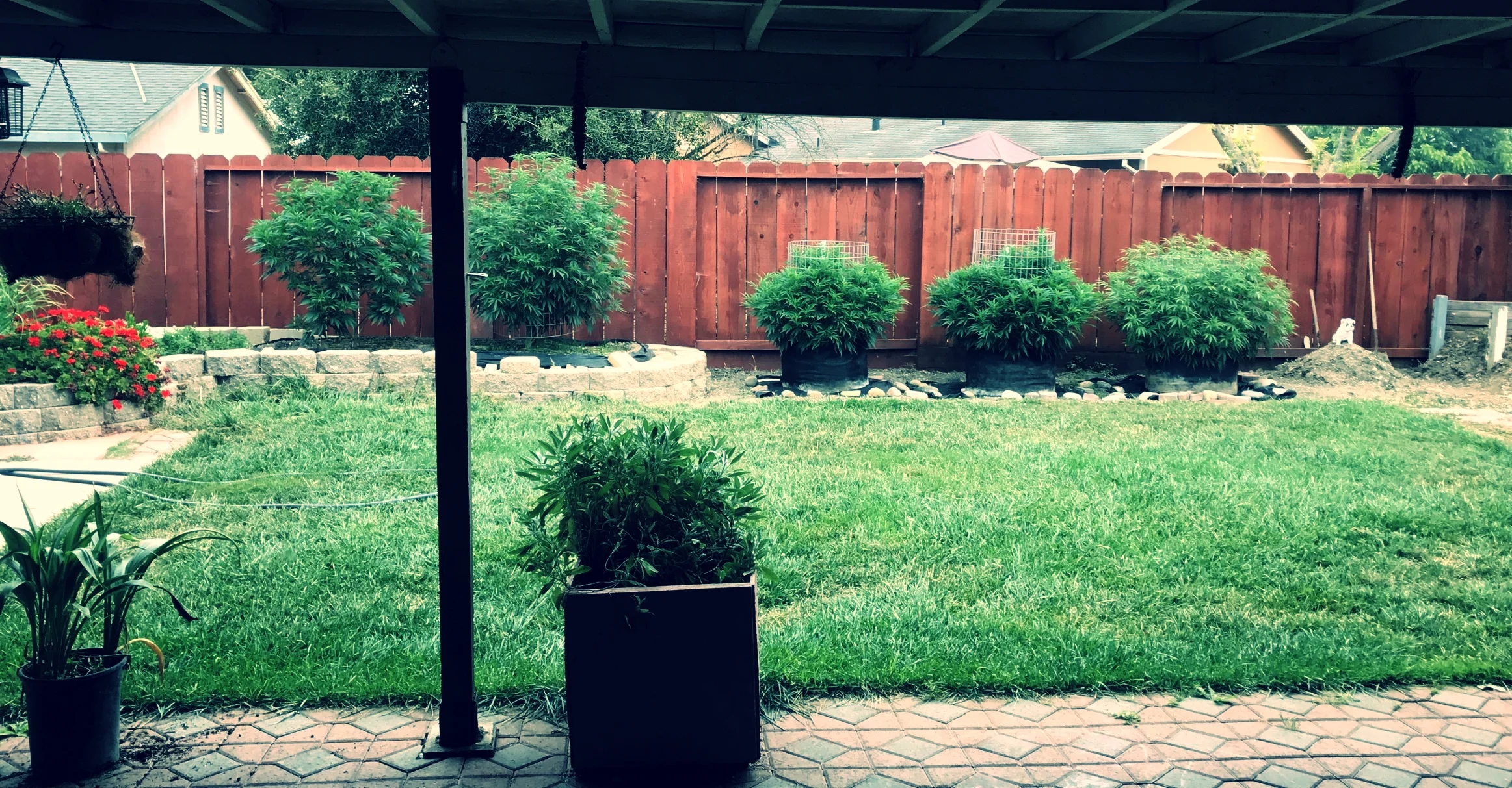 Master Grower, Home Cultivator