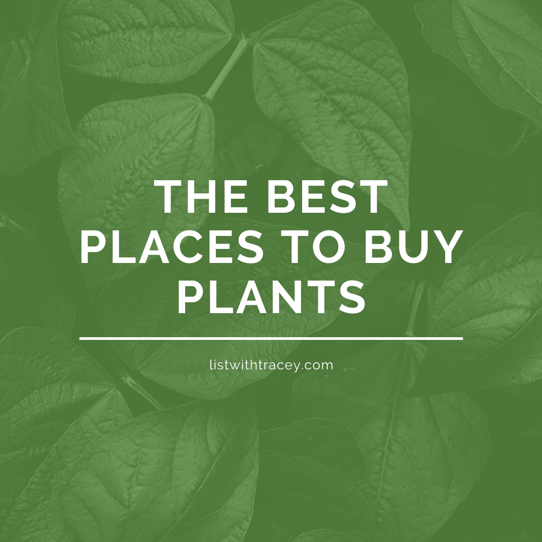 The Best Places to Buy Plants — List With Tracey