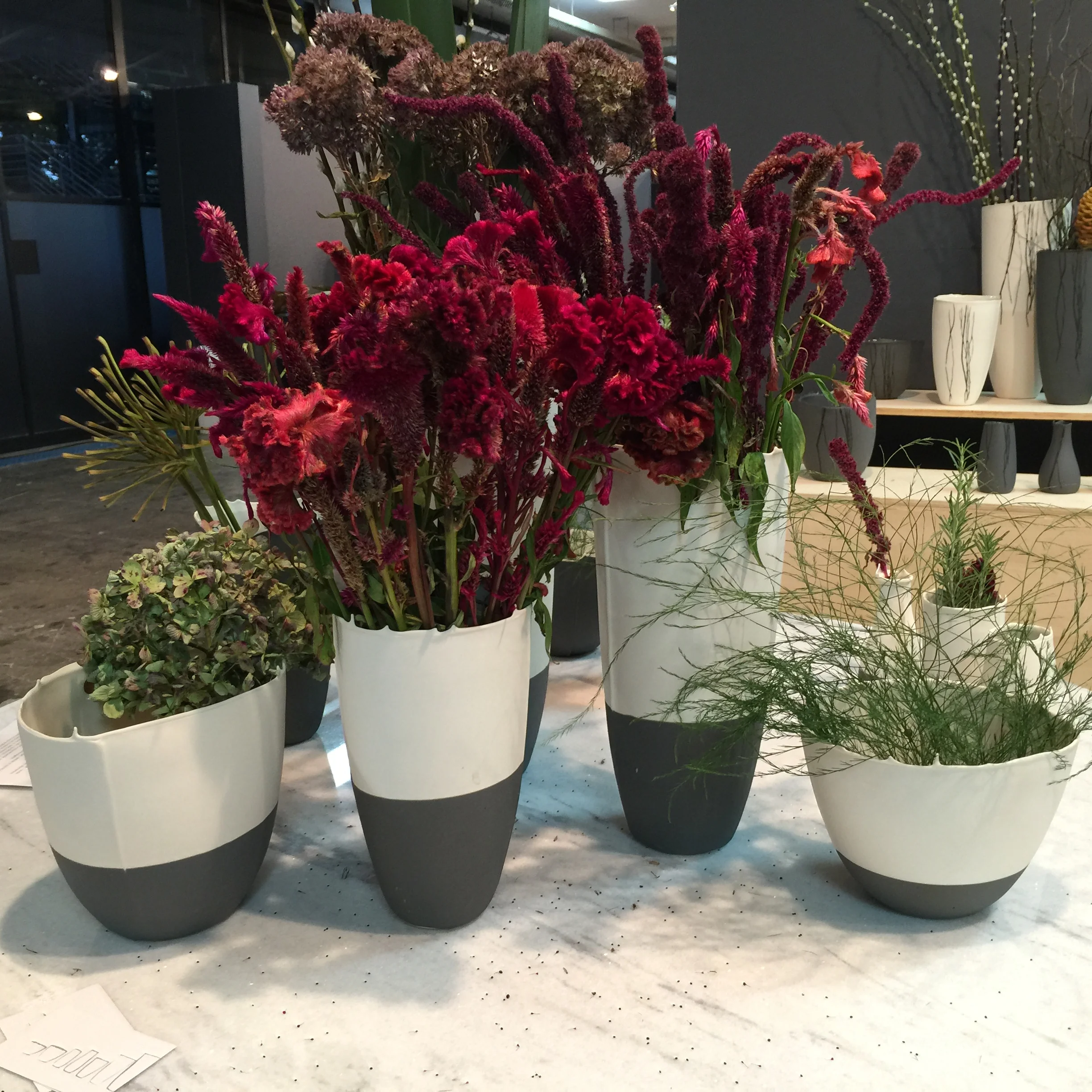 2015-02-23 17.44.55.jpg
