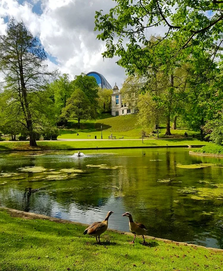 Yoga in the Park - Leopold Park