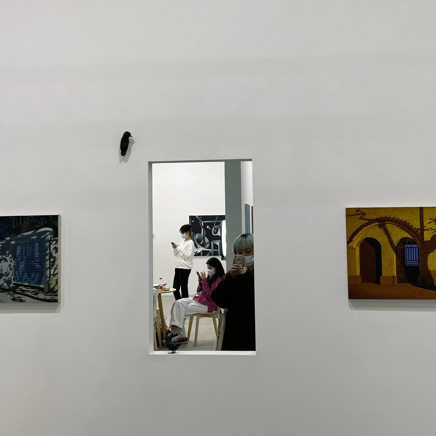 IMG_7067x15.jpg