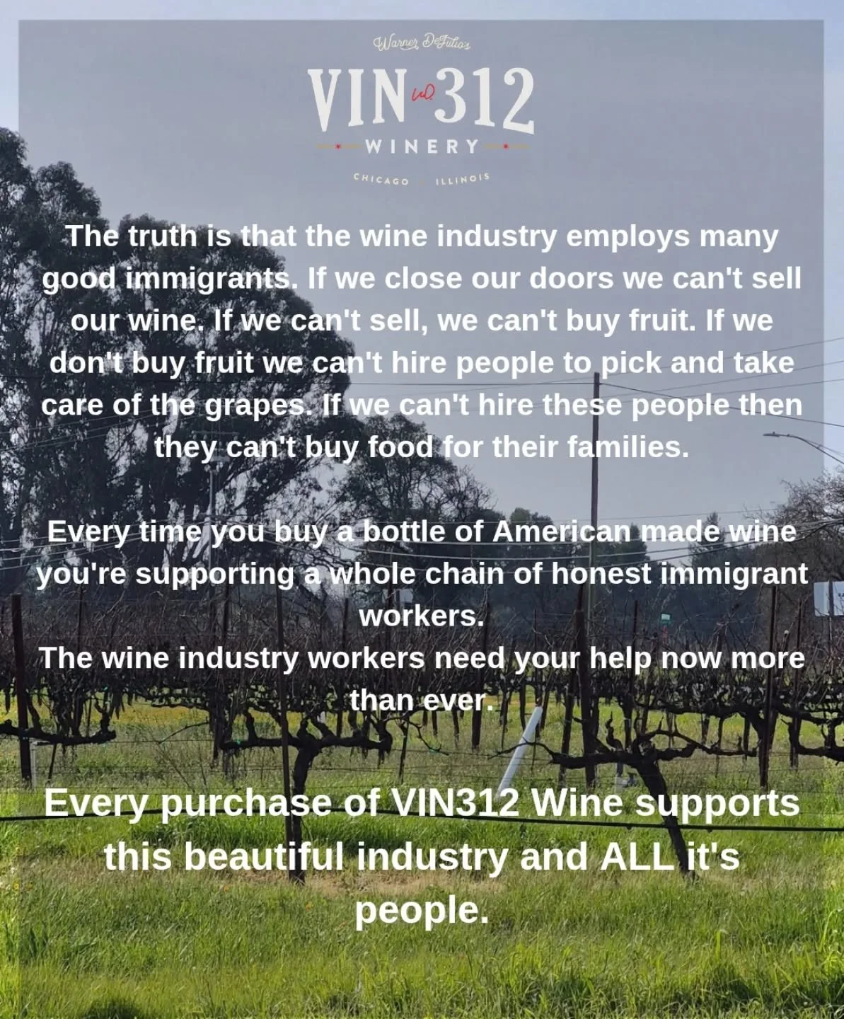 Everyone who is in the connected to the wine industry is important. We need the honest immigrants that work every day here in America to take care of a HUGE part of our industry. Wine is about community. When you support our small business by purchas