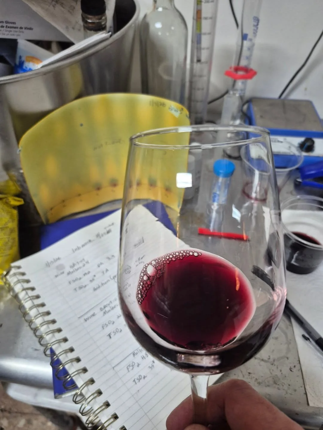 Tasting the 2023 Malbec , getting ready to bottle!

Find out more about our wine club at VIN312.com/wine club or link in bio

#malbec #ChicagoWineBar #naturalwine #lowinterventionwine #drinkbetterwine