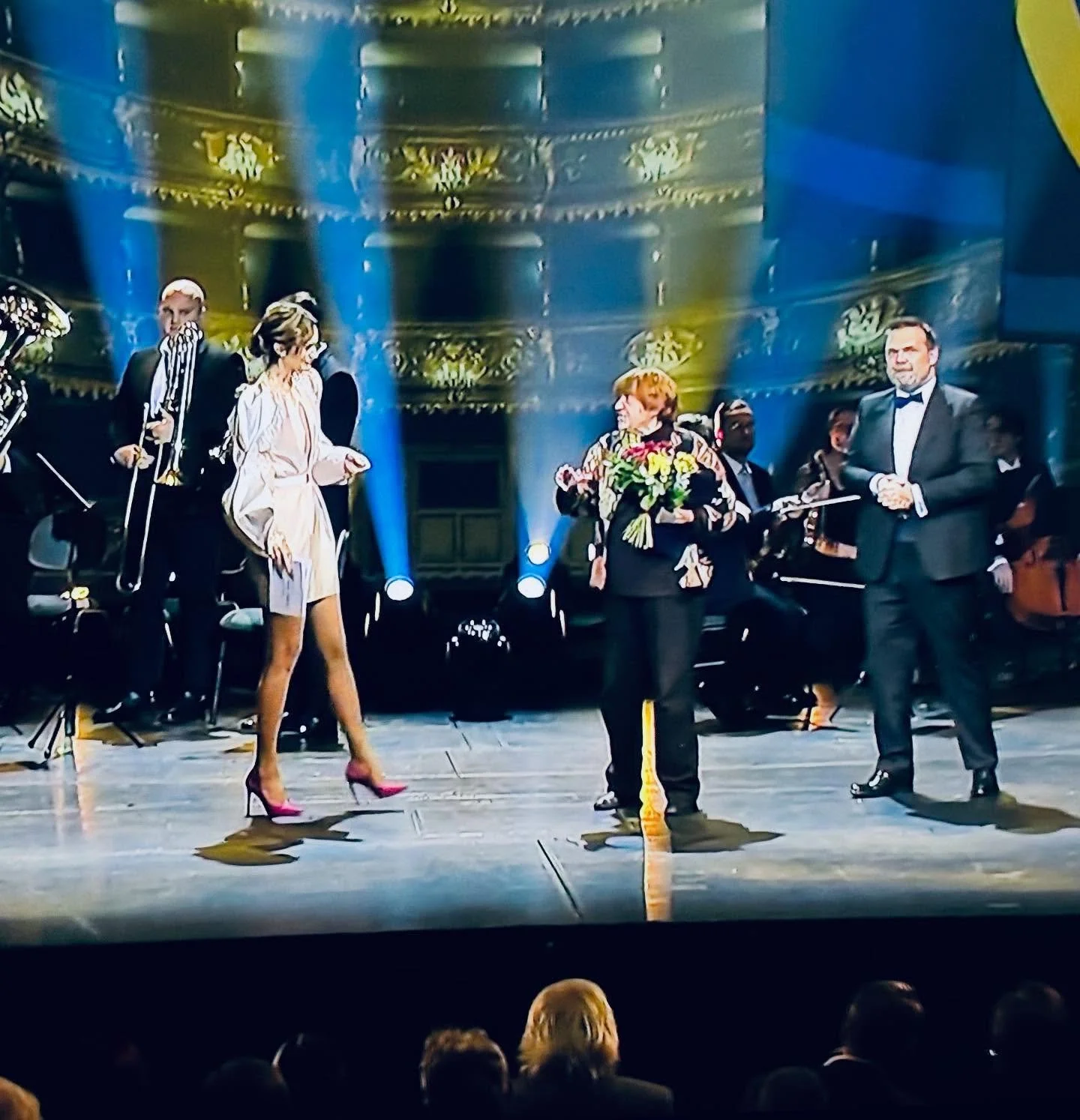 @brzobohatadaniela @hedva_cesky_brokat @baagi.cz #udilenicenministerstvakultury #dress #jacquard