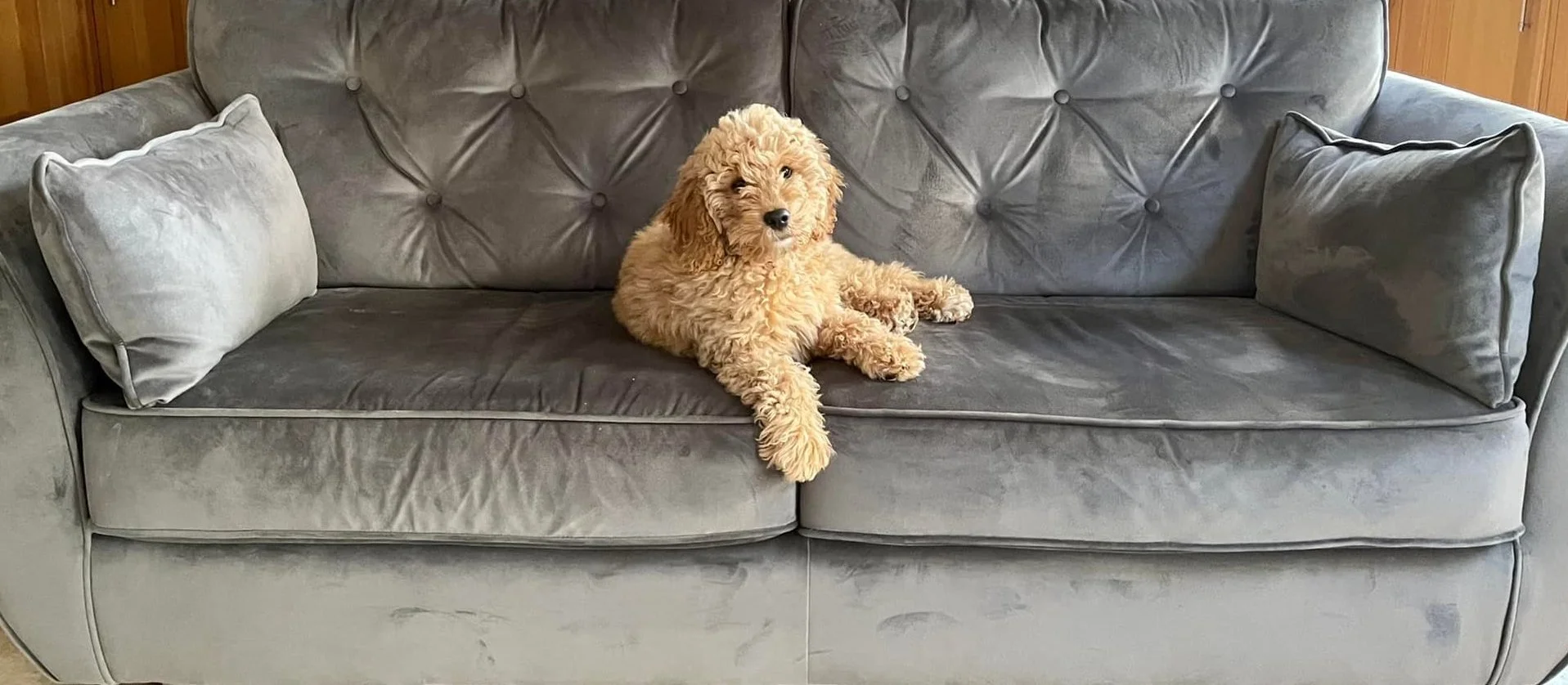 Louise HArvey2 copy.jpeg