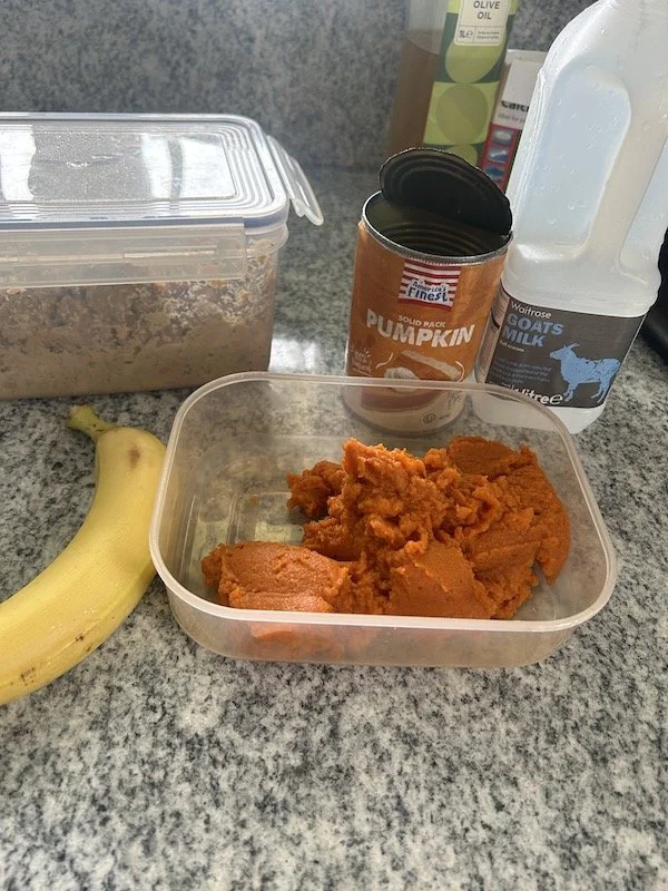 Goldendoodle puppies 1.jpeg