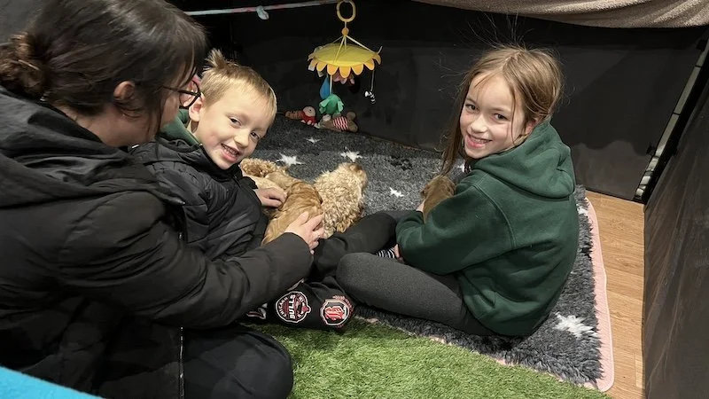 Goldendoodle breeder18.jpeg