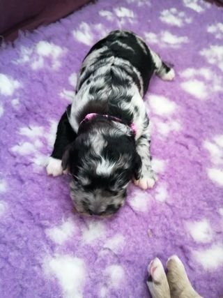 114265402_156556842712243_1212976207869069936_o copy.jpg