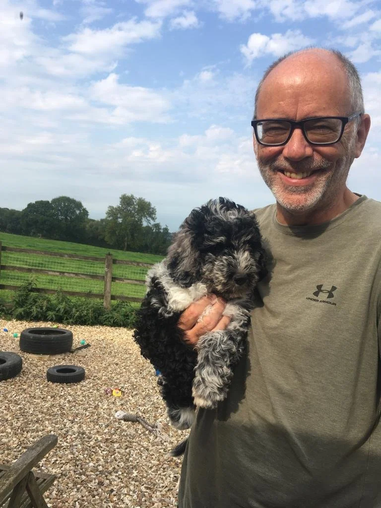 Goldendoodle puppy14.jpg