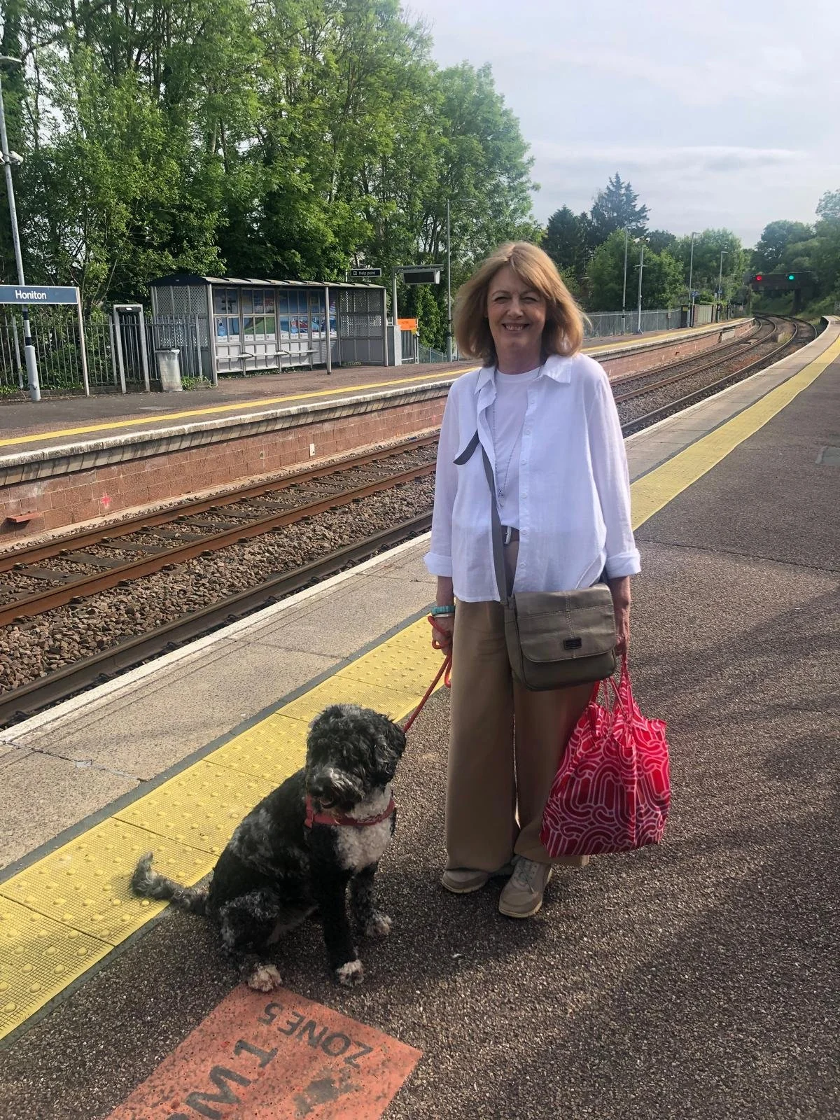 Goldendoodle puppy3.jpg