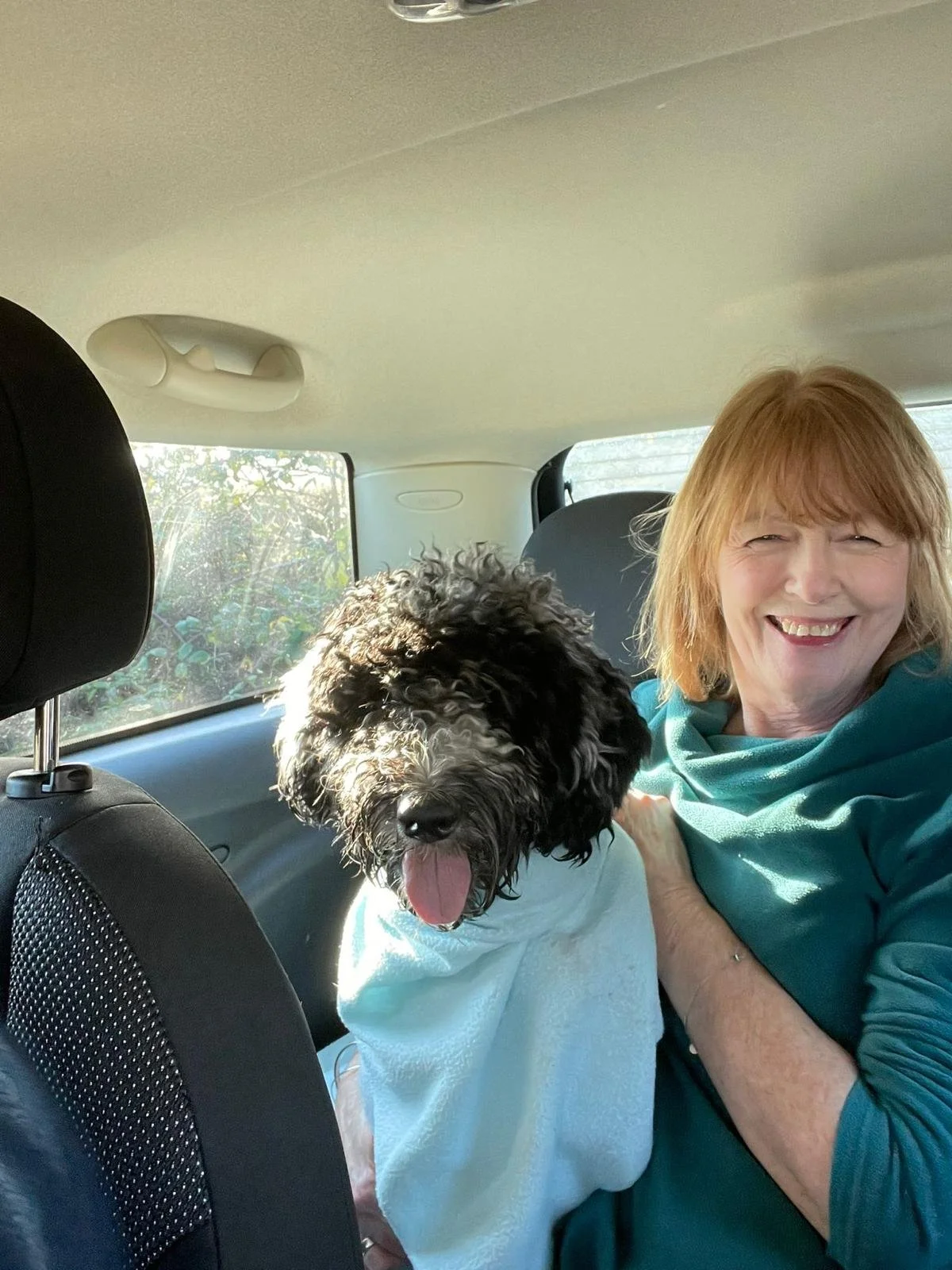 Goldendoodle puppy12.jpg