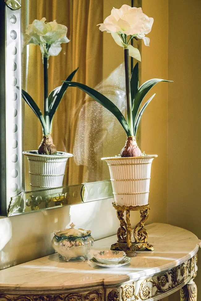 DecorativeFlower.jpg