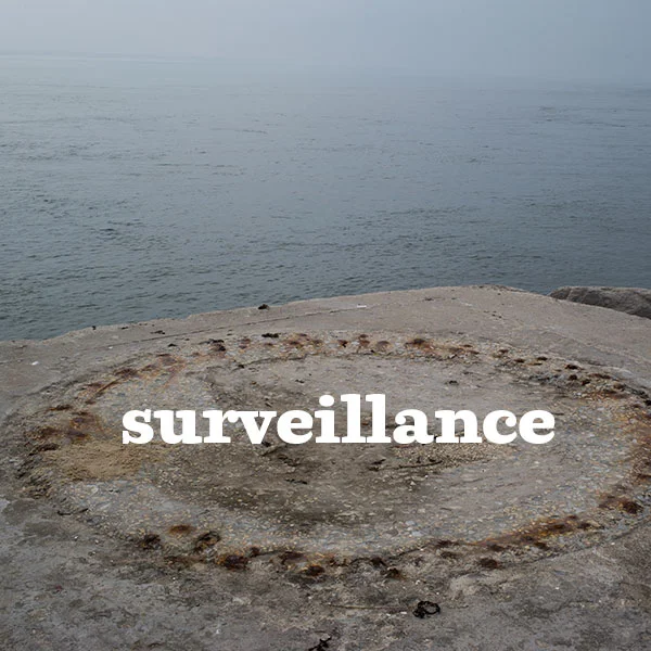 01.surveillance.jpg