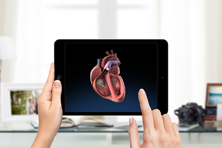 Corazon - Animacion_01.png