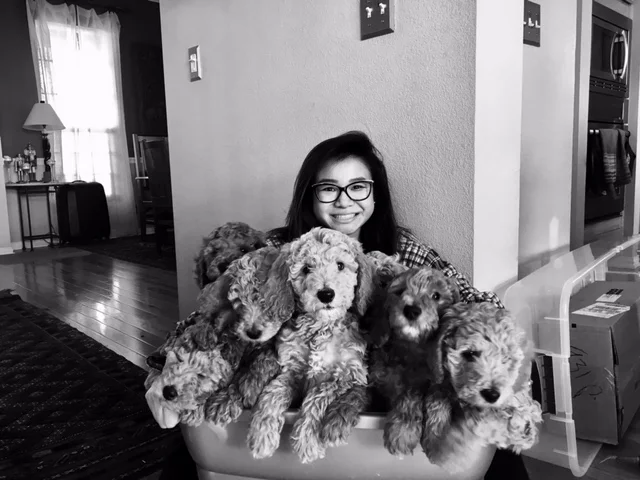 pups in basket.jpg