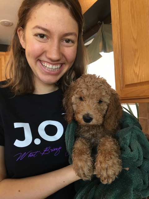 pup after bath.jpeg