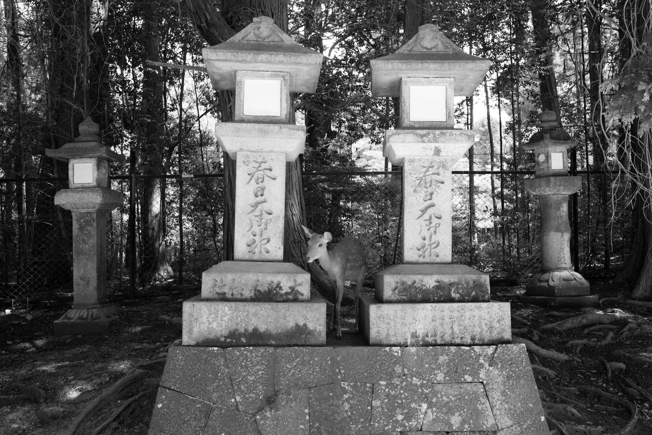 Peace - Red Dot Blue Dot Limited Edition.