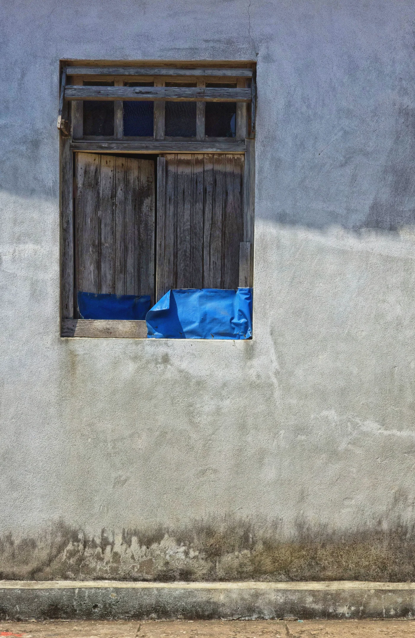 Photograph by: Dan Tamarkin