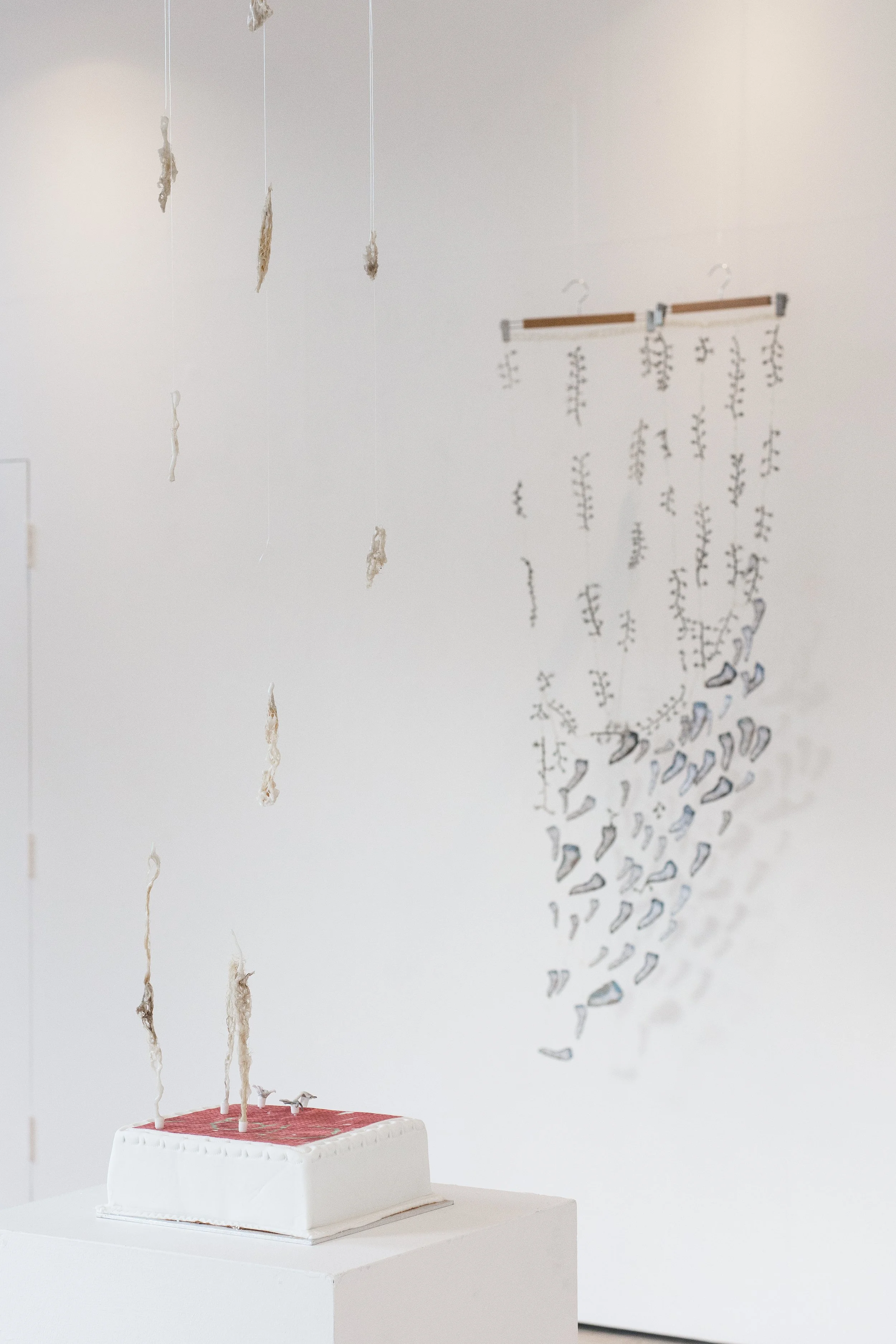 DSC_5758-1.jpg