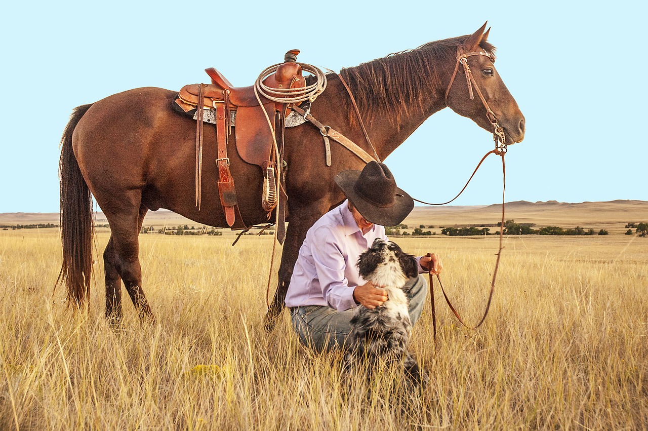 cowboy-1130695_1280.jpg