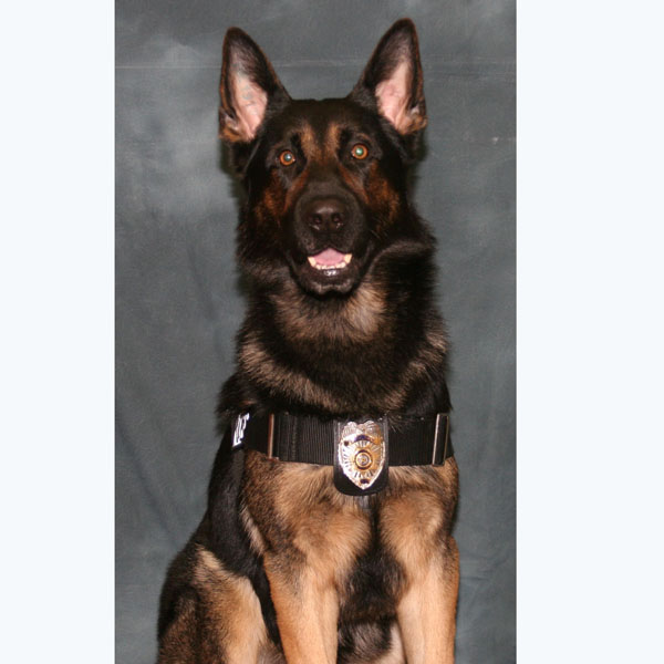 K9 Hardy, Janesville PD