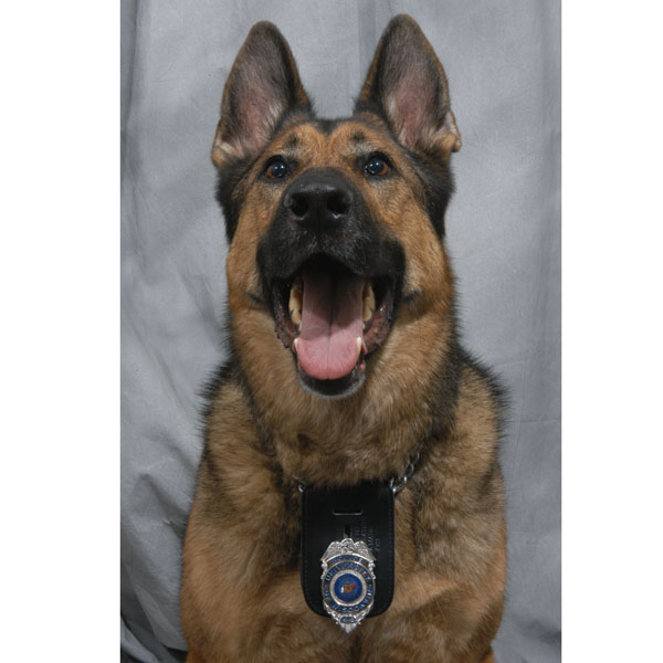 K9 Rex, UW-Madison PD