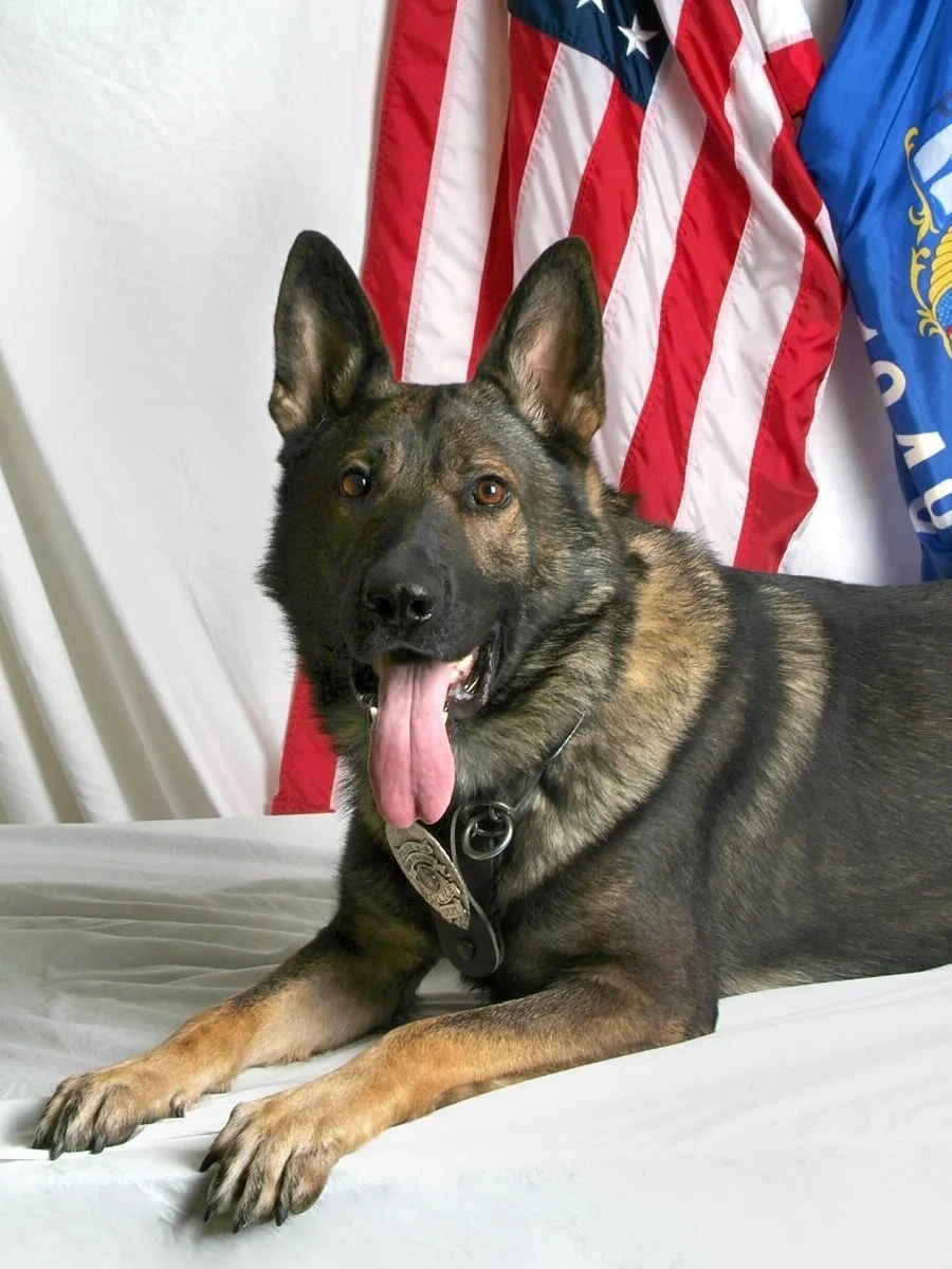 Animal Officer Memorials Memorial Pet Services
