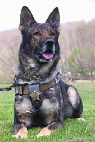 K9 Myk, Vernon County Sheriff's