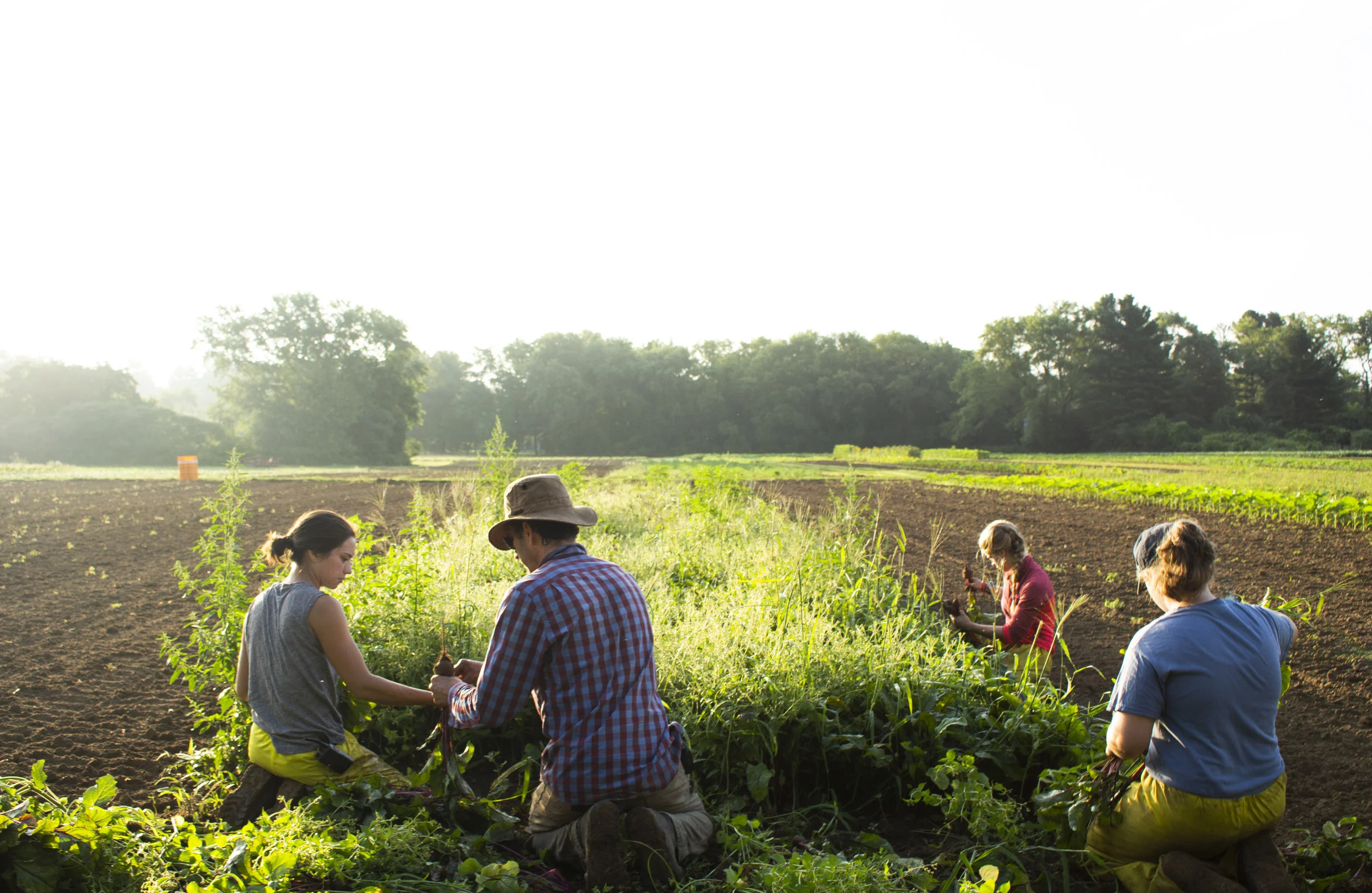 A Day in the Life of a Farmer