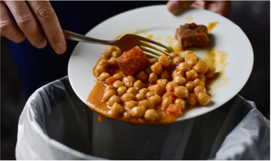 Food Waste 