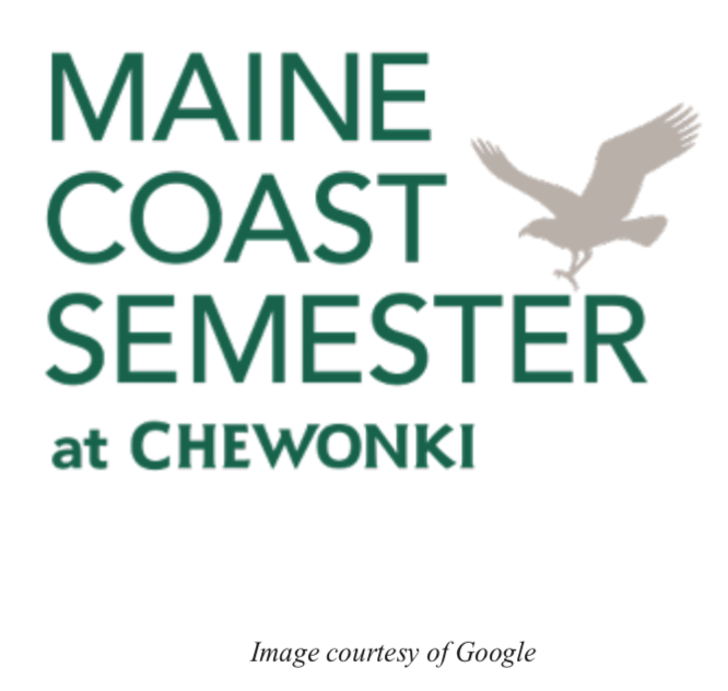 Semester Schools