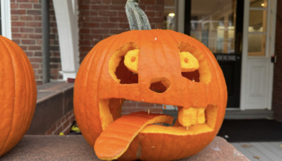 Milton's Boarders Celebrate Halloween