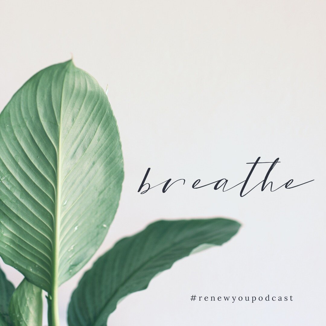 Your daily reminder to BREATHE!!! 🌿 Take 3-5 minutes and just breathe. Pause, reset, rest, and breathe!

&quot;This is what the Lord says: Look! I am going to put breath into you and make you live again! &quot; - Ezekiel 37:5

&quot;Cast all your an