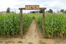 corn maze entrance.jpg