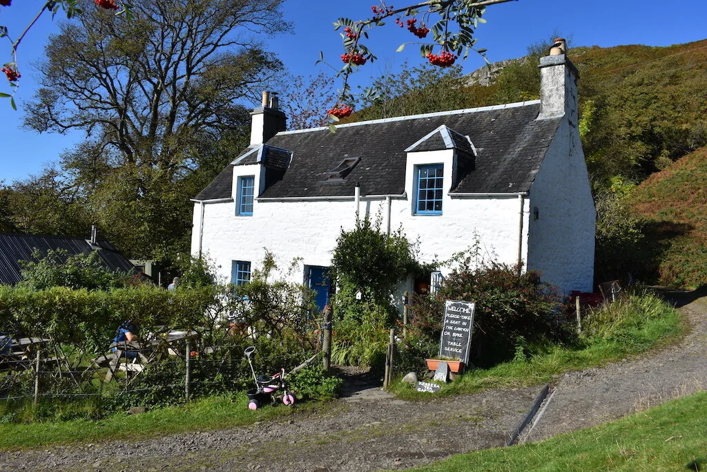 DSC_0122.JPG