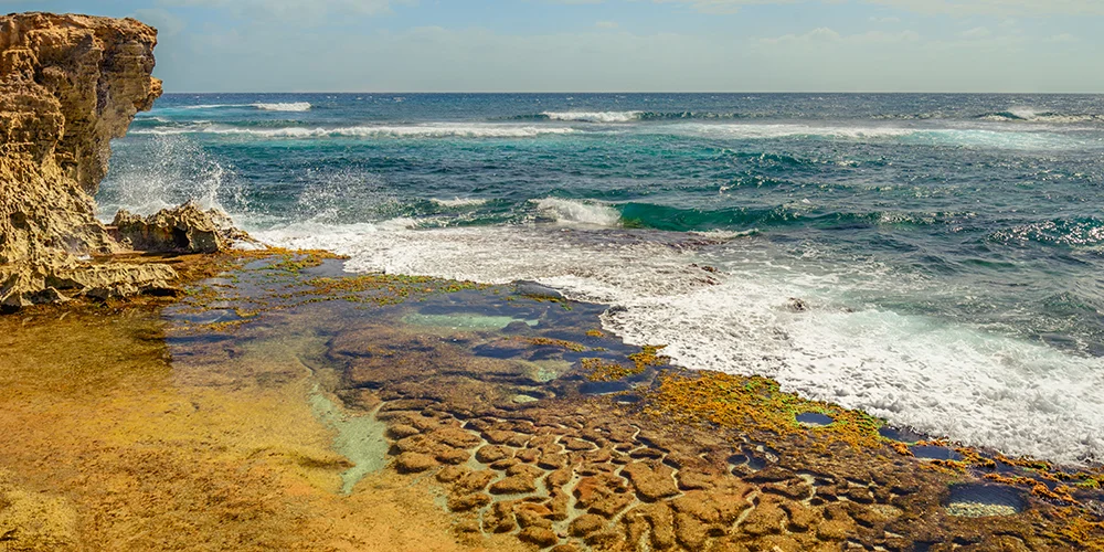 The Right Rock Pool