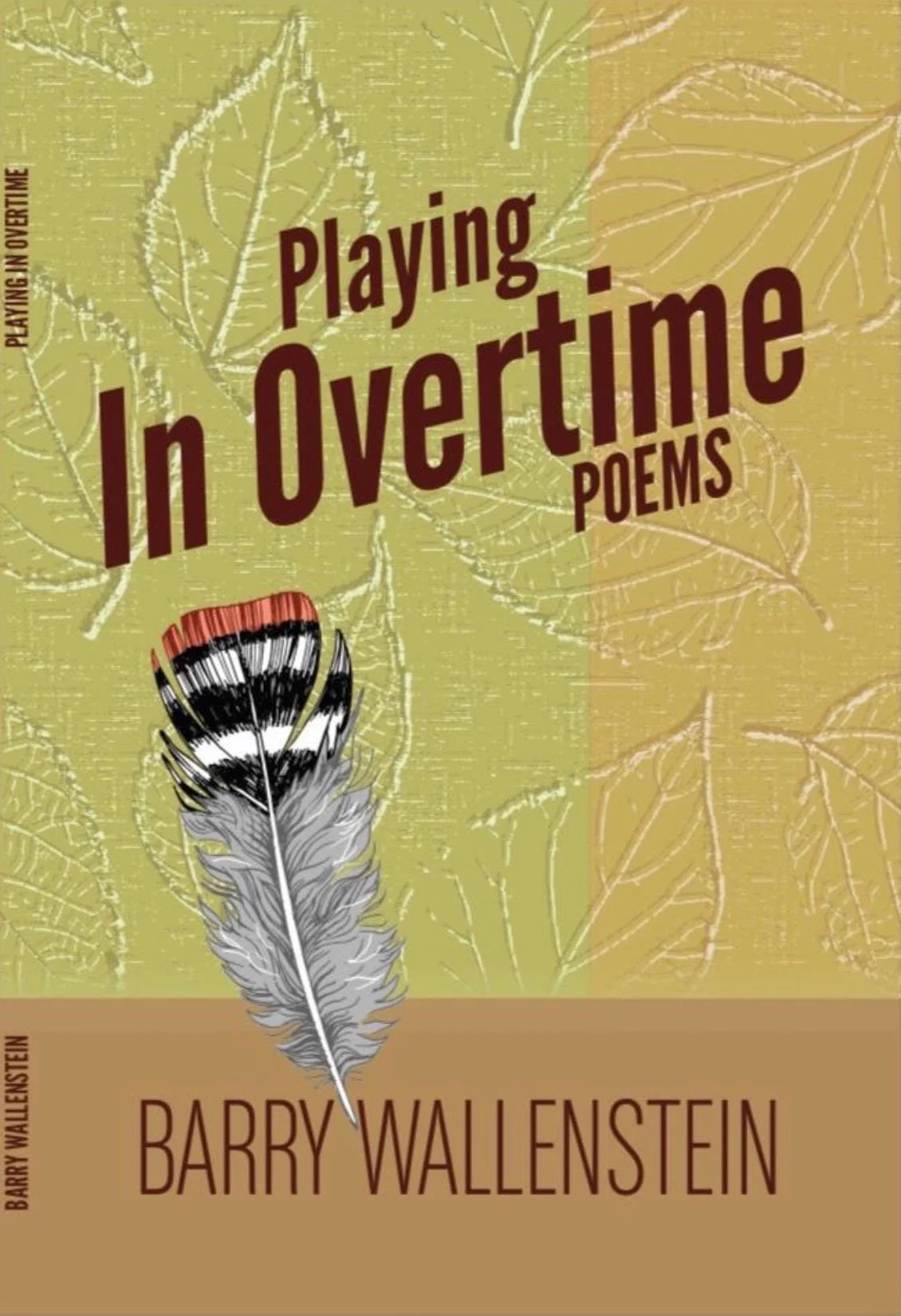 Playing in Overtime: Poems