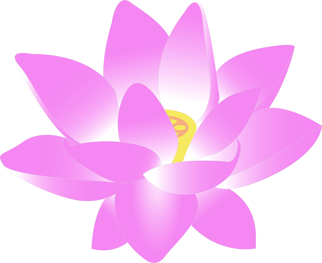 flower-159951_1280.png