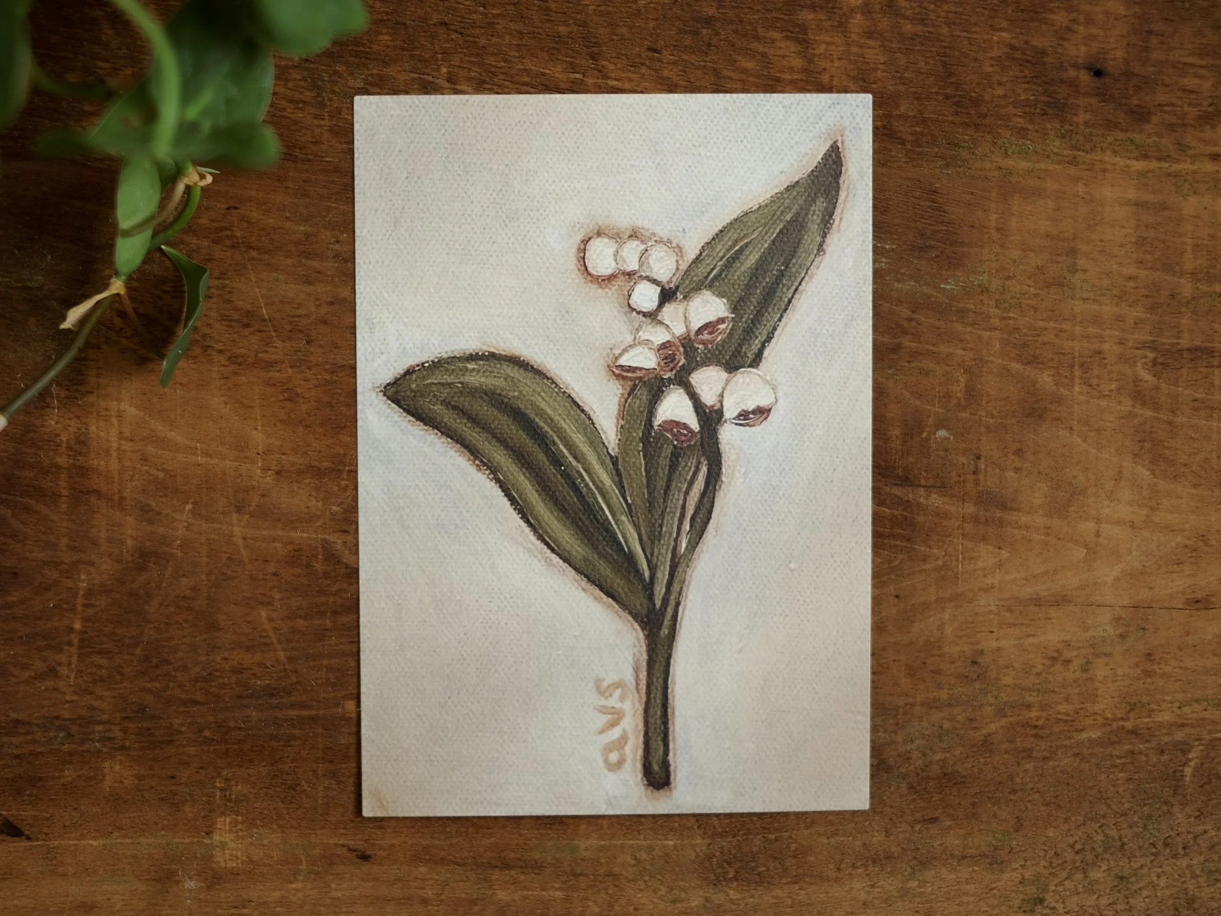 May (Lily of the Valley), 5x7 Fine Art Print