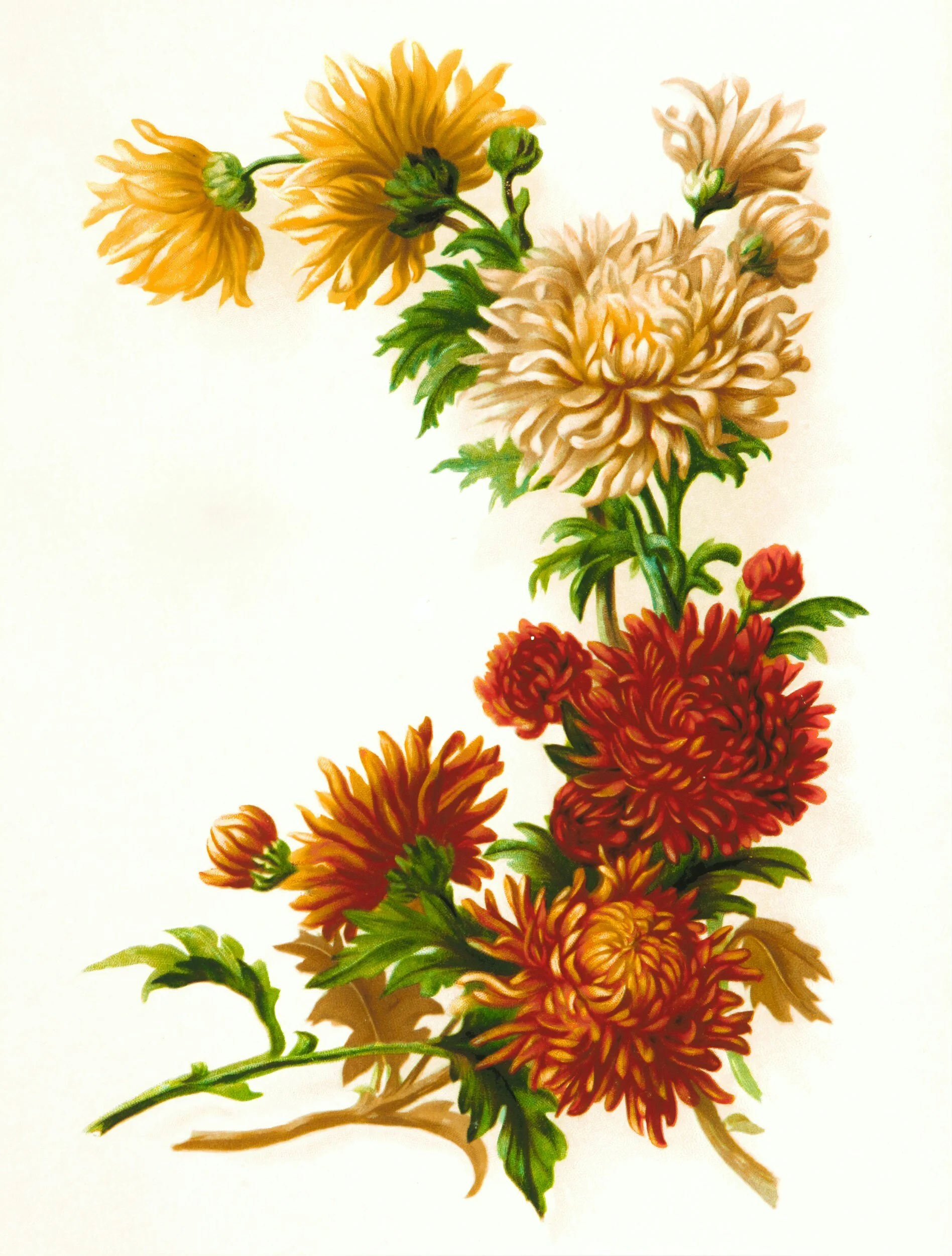 Fading Into The Background: How Our Finite Nature Glorifies The Eternal God