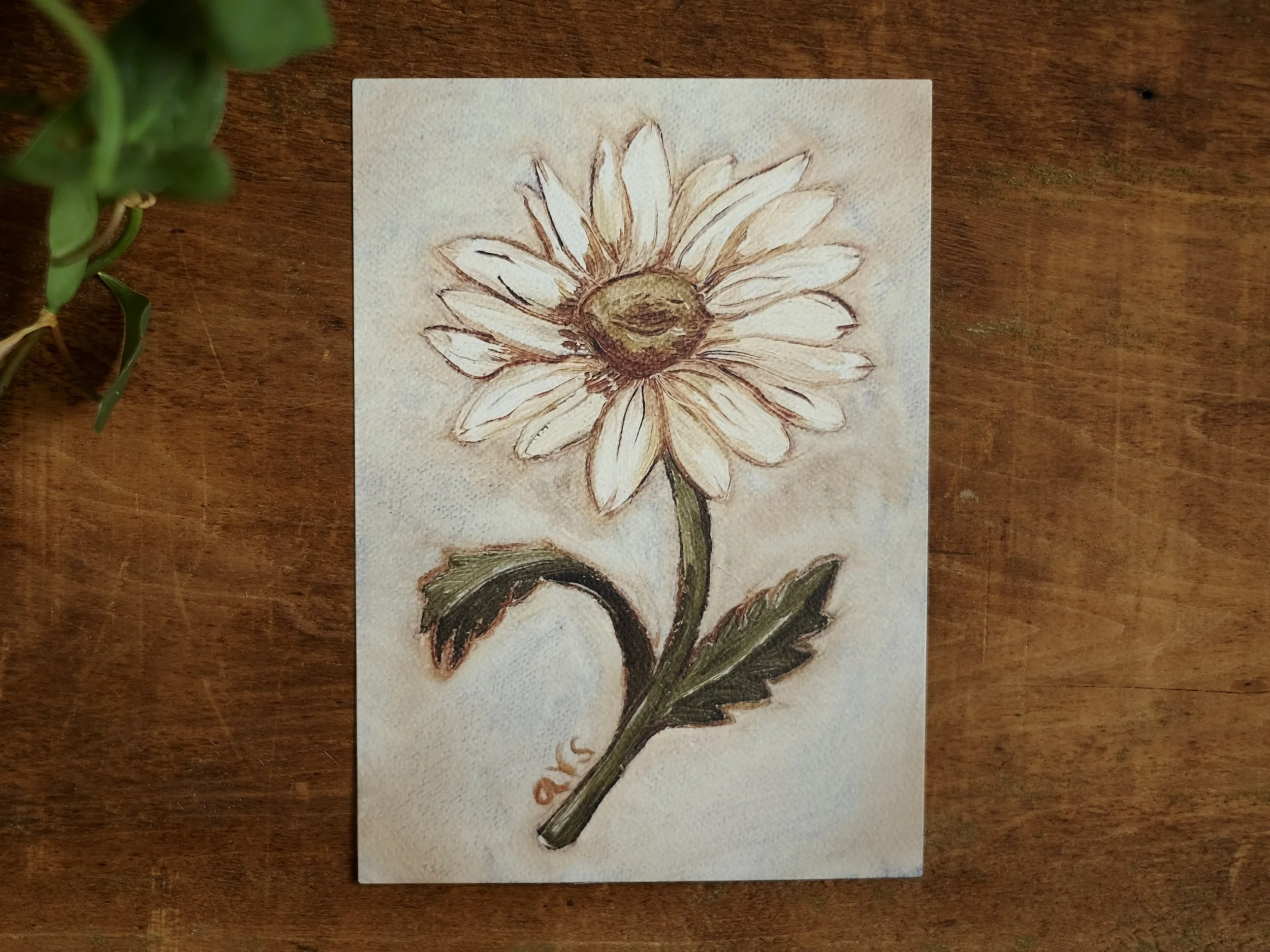 April (Daisy), 5x7 Fine Art Print