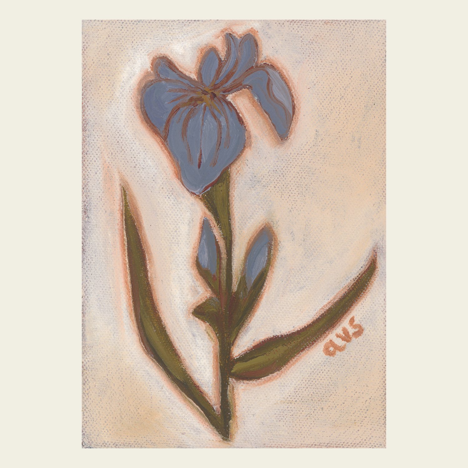 Iris-01.jpg