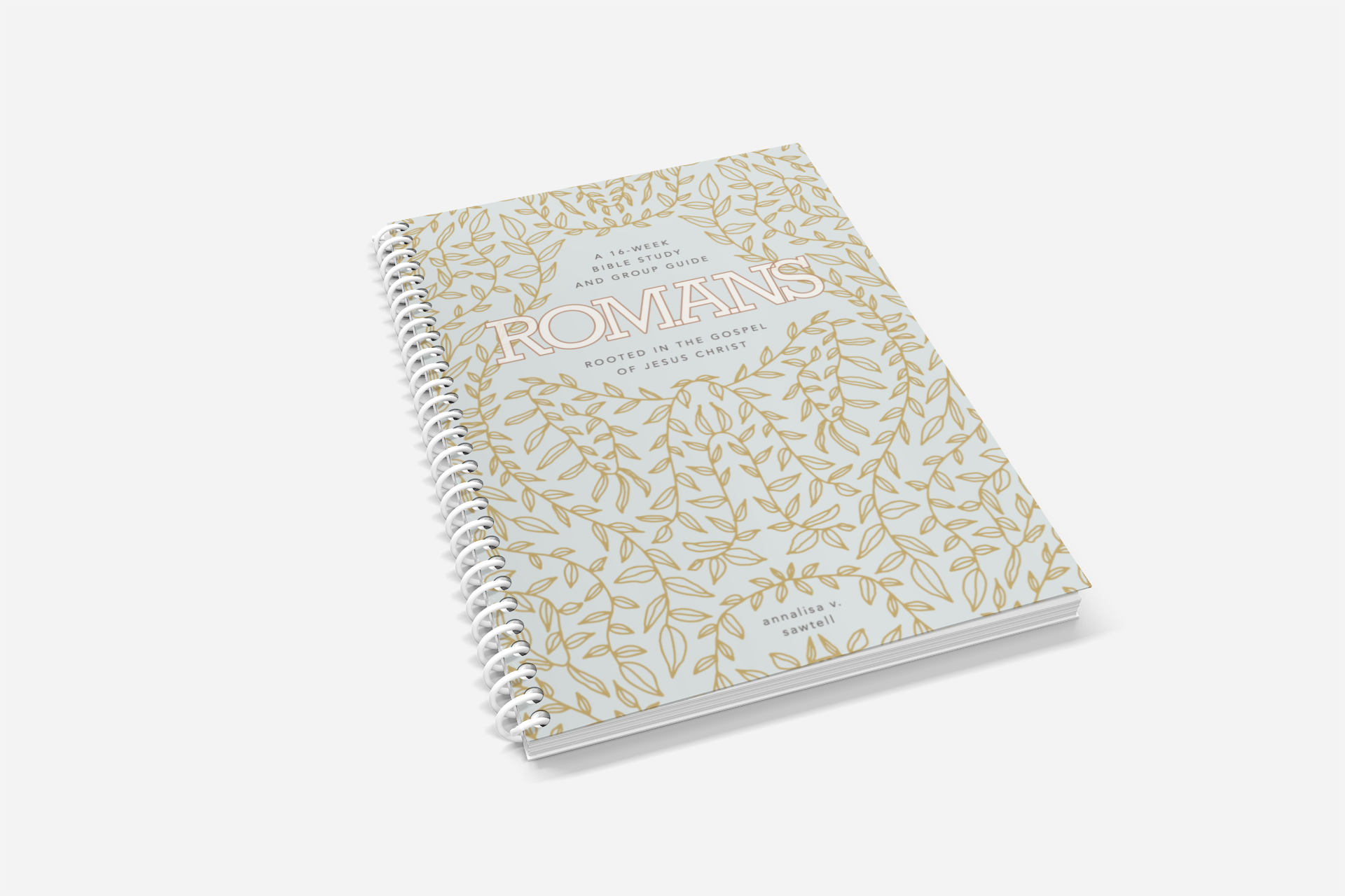 Beauty in the Book: Romans (Overview)