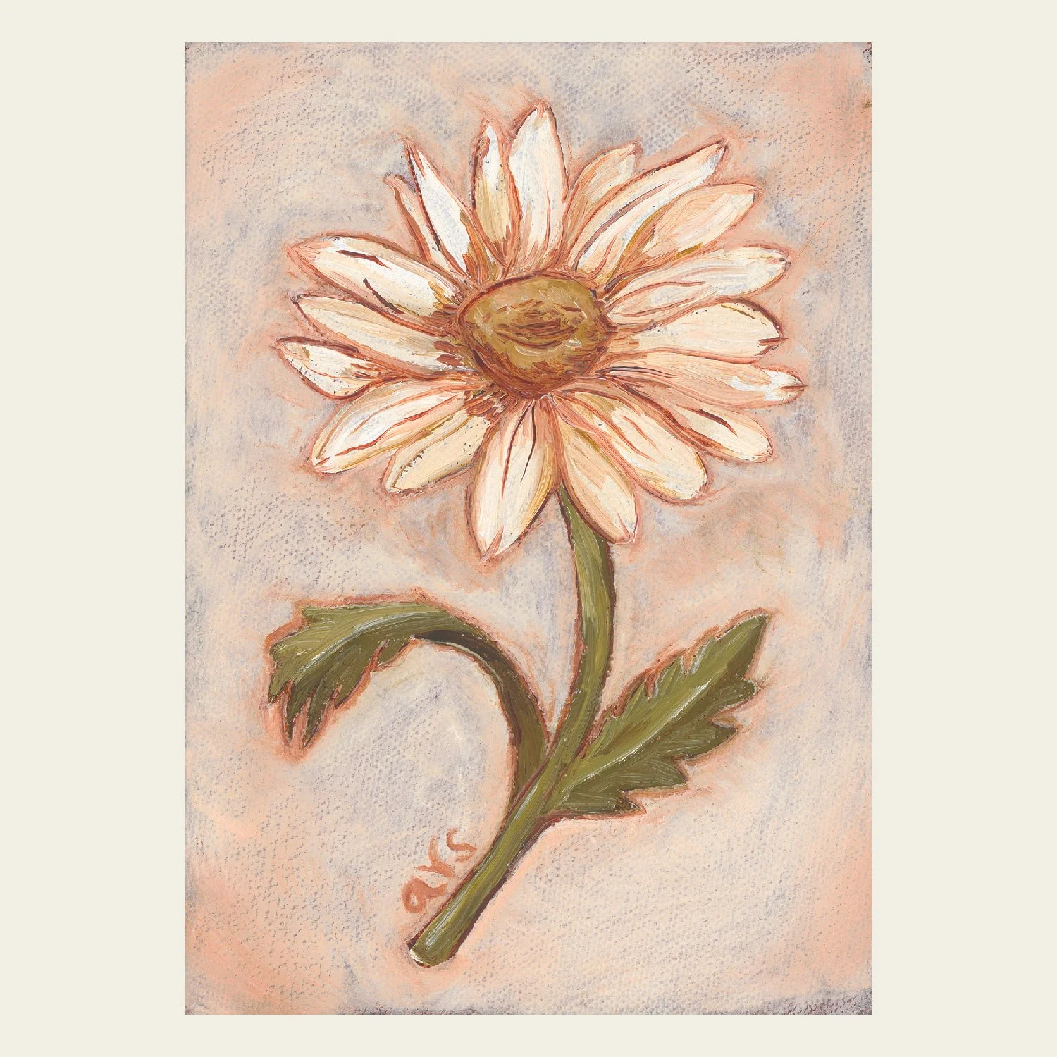 Daisy-01.jpg