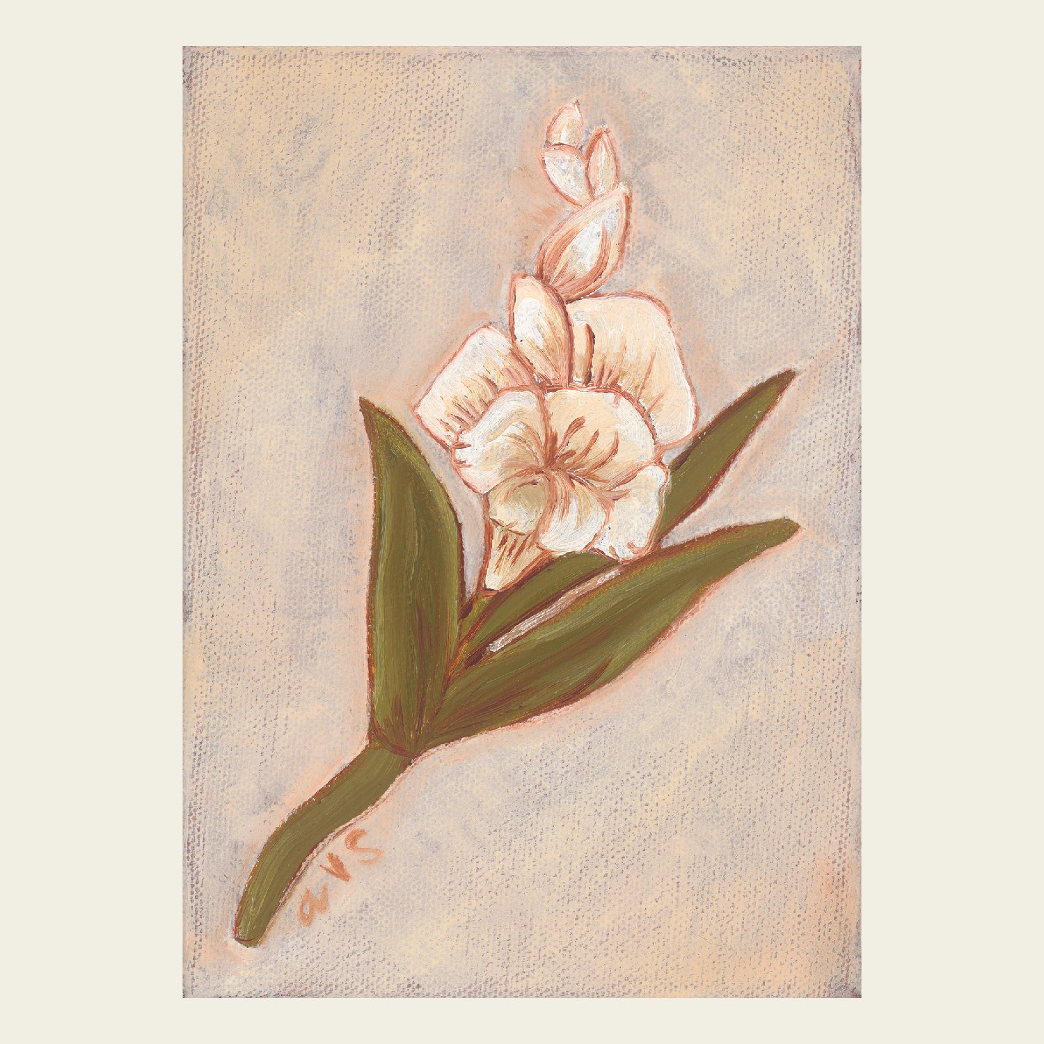 Gladiolus-01.jpg