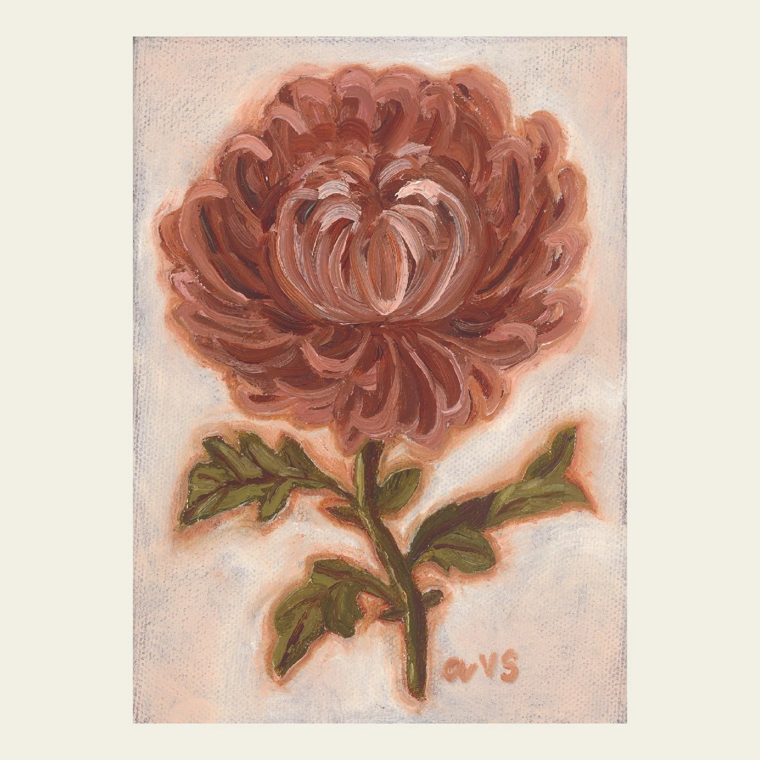 Chrysanthemum-01.jpg