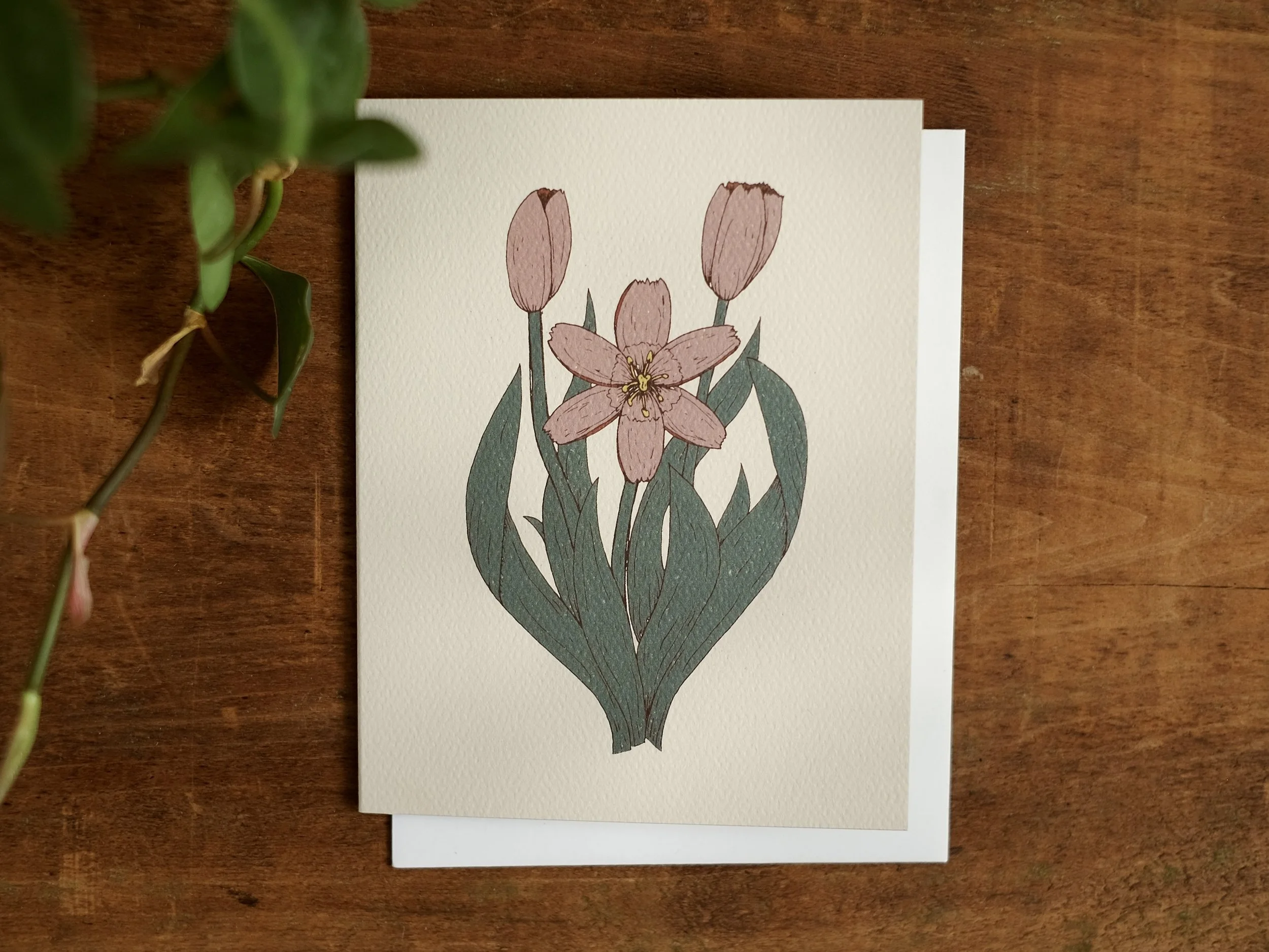 Tulip (The Promise of Peace & Purpose) | Individual Card