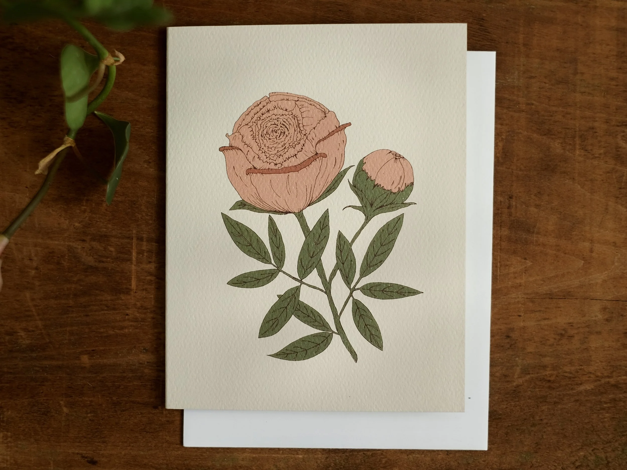 Peony (The Promise of Deliverance) | Individual Card